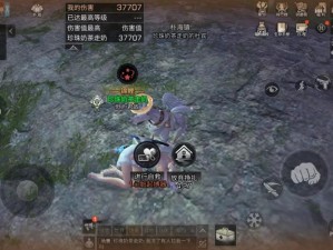 明日之后窗花碎片怎么获取？全面攻略助你轻松收集！