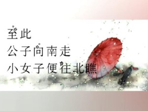 小女子不才之歌的启示，资源管理中的独特智慧与实践探索