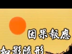 百因必有果，解析其寓意在资源管理中的重要性及实施策略