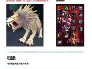 魔兽世界怀旧服，优选服务器与资源管理策略解析