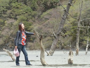 中岛京子加勒比：带你走进独特的文艺创作之旅