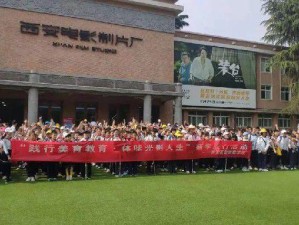 和女部长一起去公司研学的电影到底叫什么？引发全网好奇与热议