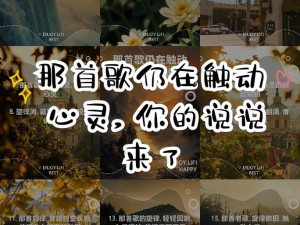 心灵深处的回响探寻 你我心中的那首歌