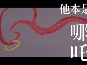 抖音热门歌曲探秘 他本是一世无双 出处揭晓