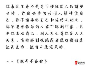 是的我错过了你之歌，资源管理与生活哲学的意外启示