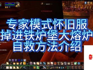 魔兽世界怀旧服账号冻结30天解封方法与预防措施