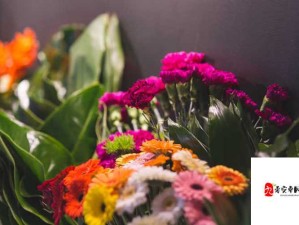 花店静默中的花朵绽放——生命之美，坚韧与希望并存