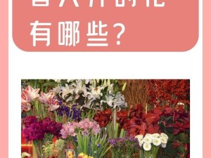提问：你知道吗？樱花为什么会在春天开花？：🌸探寻樱花春天开花的奥秘，你想知道吗？🌸