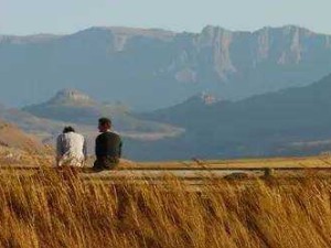 女人又爽又黄，免费观看不后悔