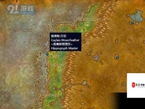 怀旧服探索黑海岸攻略，资源管理高效利用 避免浪费