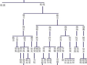 千代婆婆孙子揭秘，深入解析其背景与高效管理之道