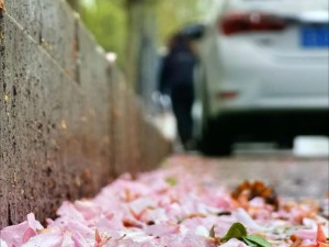 抖音花瓣旋转掉落特效怎么拍？教你轻松打造浪漫唯美视频！