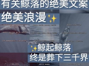鲸落鲨隐 探寻海洋巨兽生命终章的极致浪漫