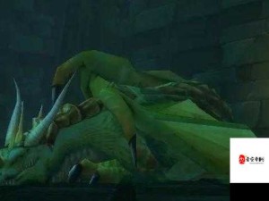 魔兽世界怀旧服探索，揭秘绿龙宝宝珍稀获取秘籍
