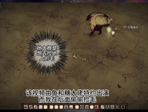 奇葩战斗家试炼场资源管理高效利用避浪费全攻略