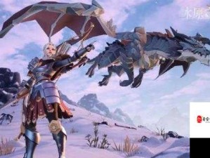 冰原守卫者深度探索，博克地下城全攻略指南