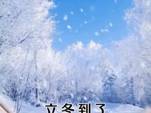 抖音热门旋律随季流转 银装素裹大地旋律揭秘