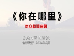 探寻可是你在哪里之歌，资源管理深处的奥秘与高效策略