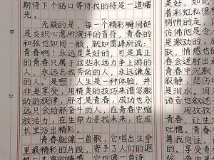 青春旋律逐梦行，资源管理中梦想拼搏的启示