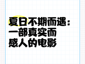 生活非电影 壁纸资源管理的重要性及实用技巧解析