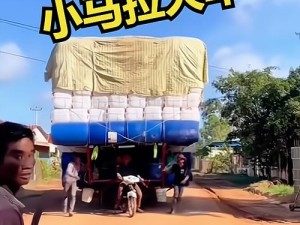 小马拉大车是指力量小却要拉很重的东西，比喻能力小却要承受很大的任务这个词语常用来形容人或事物在能力、资源等方面不匹配的情况那么，小马拉大车是啥姿势呢？