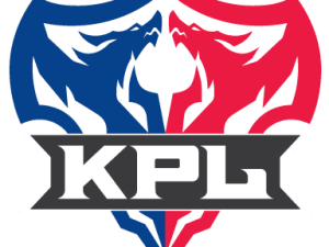 荣耀天梯，深入探索各战队人数上限的隐藏玄机