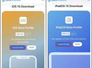 iPadOS描述文件究竟如何下载？从新手到精通，全面攻略带你揭秘！