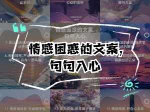 情感迷雾中寻觅触动心灵的前言