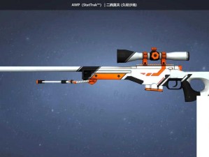 CSGO 皮肤大全：涵盖各种精美珍稀的游戏皮肤展示