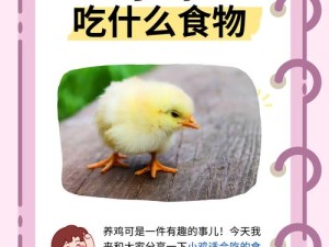 我就吃两个，剩下的都给你，这背后隐藏着游戏怎样的深层含义与未知机制？