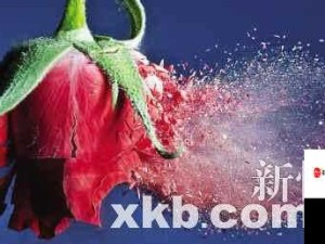 爆炸先生深度攻略，探索子弹拐弯的奇妙技巧与奥秘