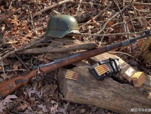 Kar98K单发栓动传奇 精准制胜 弹夹容量全面揭秘