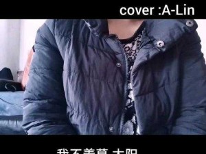 我不羡慕太阳歌曲深度剖析及其资源管理应用探索