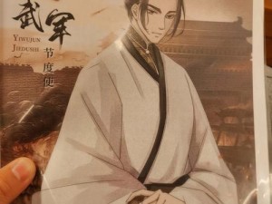 天下之忧铁马金戈，深度剖析歌曲资源管理策略与价值提升之道