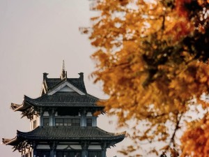 春潮烂漫海棠红！这份绝美秘境为何让人一见倾心？