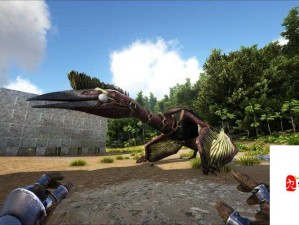 方舟手游高效驯服风神翼龙全攻略