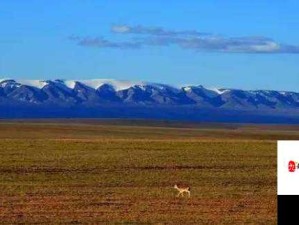 亚洲无人区天空码头 IV 究竟位于何处引发探寻热潮