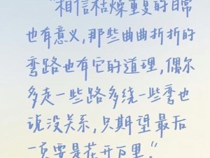 脏世中的悲伤，探讨壁纸资源管理不可或缺的重要性