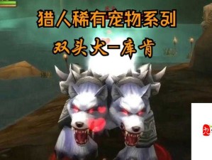 魔兽世界怀旧服达纳苏斯之旅，资源管理高效利用策略