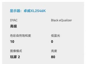 17 岁俄罗斯 csgo ：天才少年的电竞追梦之旅