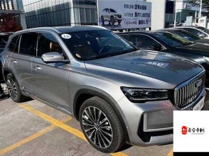 国产又美又漂亮的 SUV，颜值与实力并存