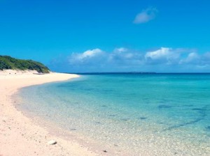 爱情岛亚洲论坛精品：探索爱情的神秘岛屿