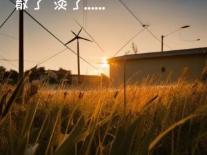 我想要一生醉在你世界这句浪漫告白出自哪首歌曲？