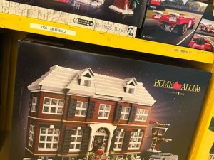 乐高无限种子获取攻略，轻松打造个性化专属乐园