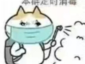 逐渐晓明，表情包在资源管理中的重要性及高效运用策略