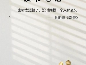 自尊碰撞经验 跨越内心障碍的成长之旅