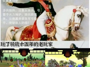 名场面梗的多元解读，资源管理、游戏策略与避免浪费的深度剖析