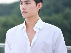 你是谁的白衣少年之歌，揭秘资源管理中的深层奥秘与价值