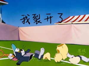 我裂开了，探究网络流行语的诞生历程与风靡现象