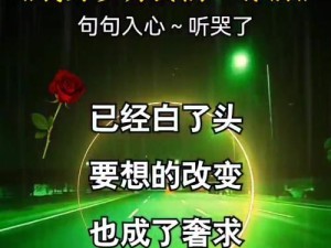 我把岁月酿成酒歌曲名揭秘及在生活管理中的应用启示